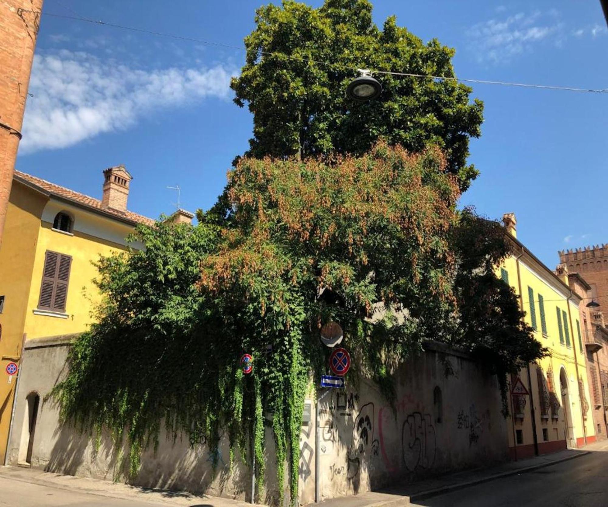 Apartament Il Giardino Segreto Ferrara Zewnętrze zdjęcie